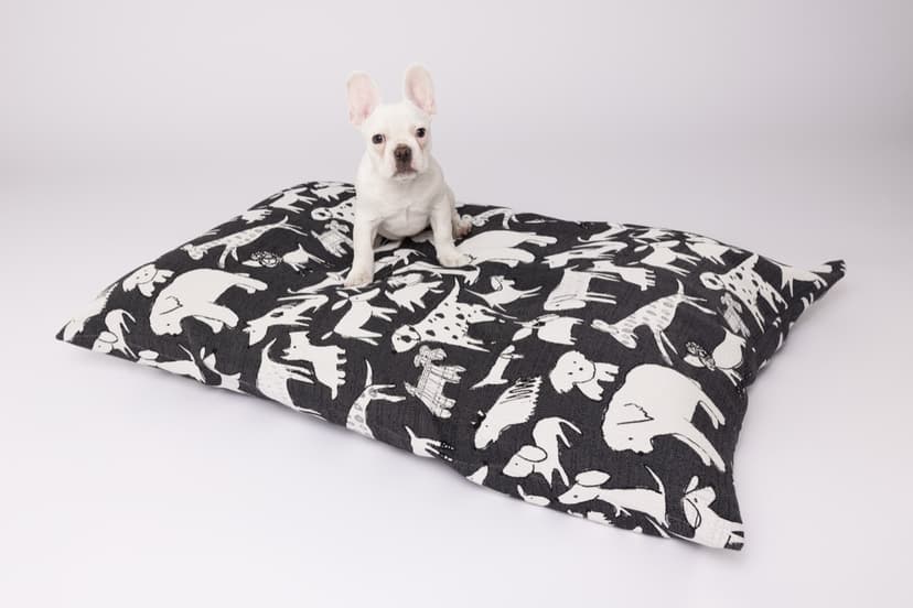 Our Frenchie on the Recycled Dog Print bed — she looks like she belongs on it!